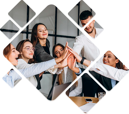 Sobre a New Brand Digital