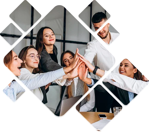 Sobre a New Brand Digital